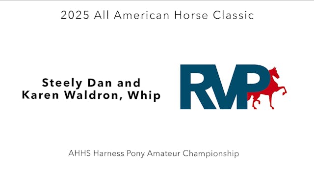 AAC25 - Class 131.5 - Steely Dan and ...