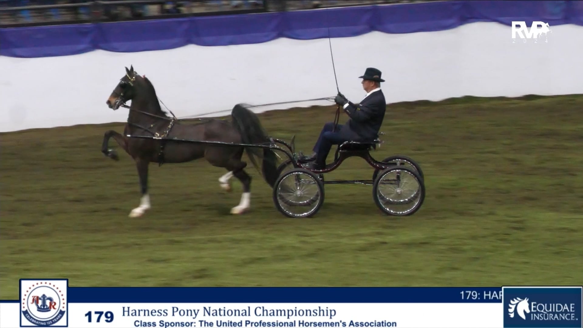 AR24 - Class 179 - Harness Pony National Championship