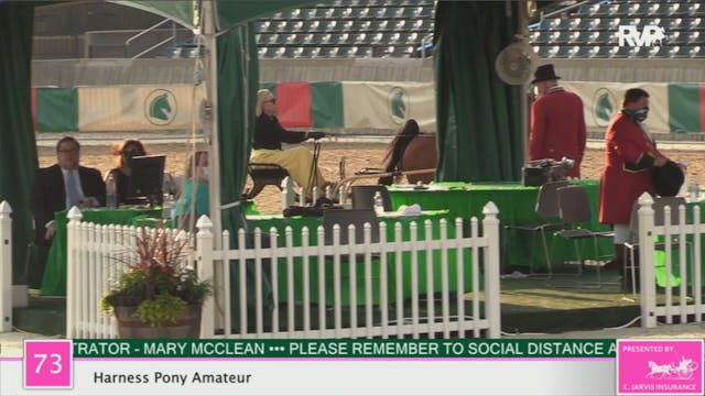 2020 LJL - Class 73 Harness Pony Amateur