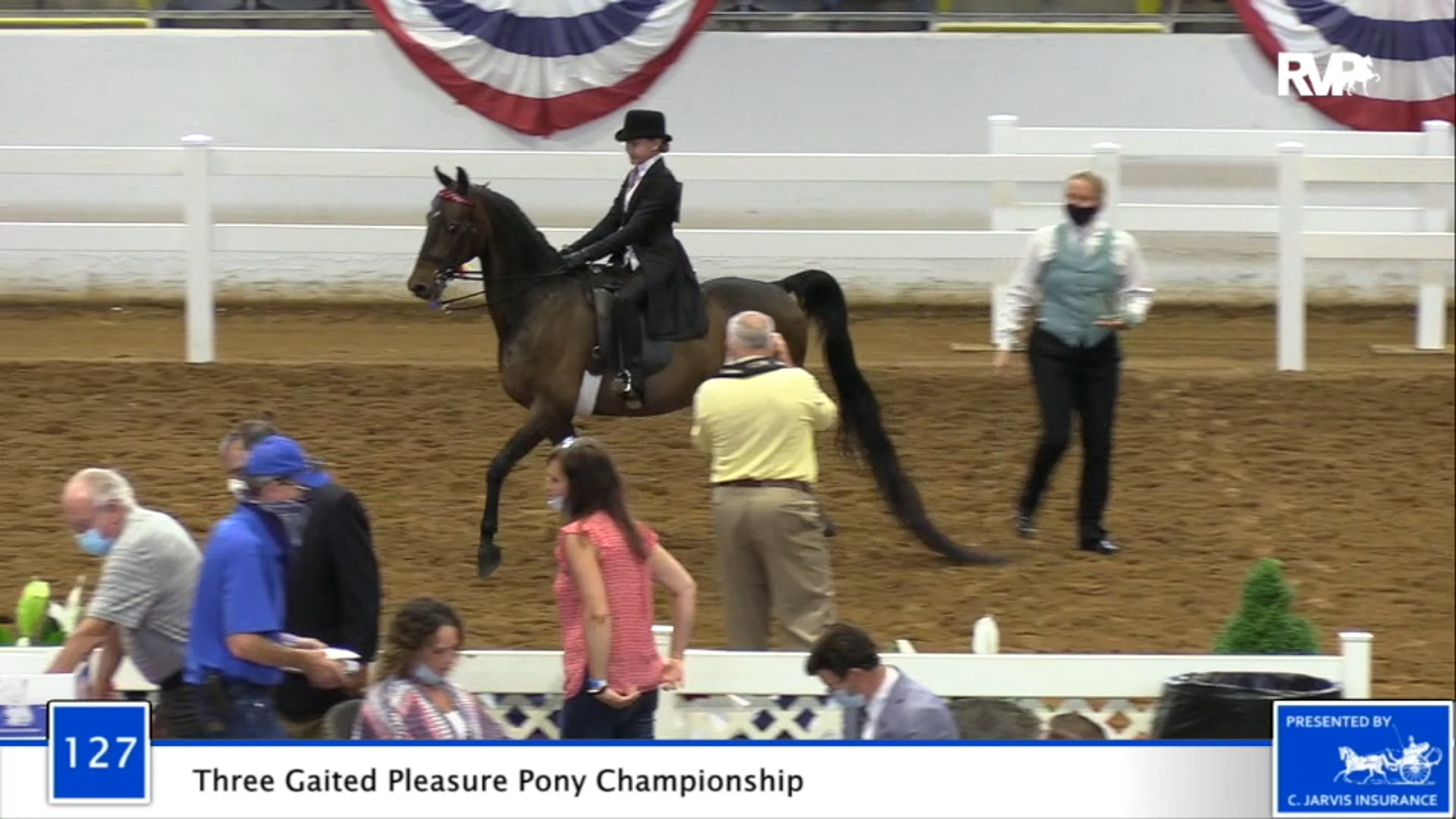 2020 BB - Class 127 Three Gaited Pleasure Pony Championship