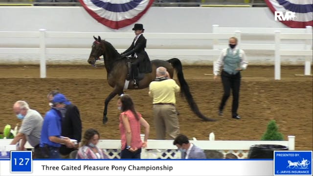 2020 BB - Class 127 Three Gaited Plea...