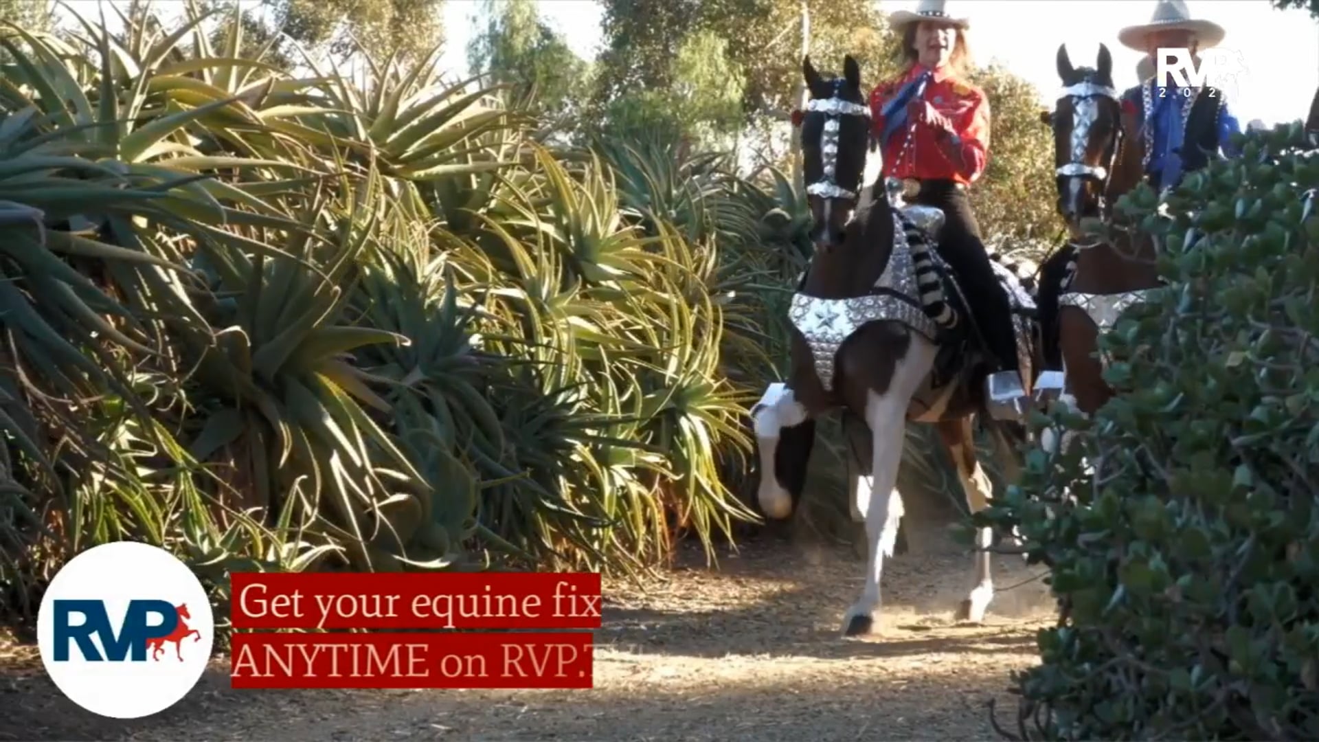 MGN21 - Coliseum -1st Saturday Afternoon