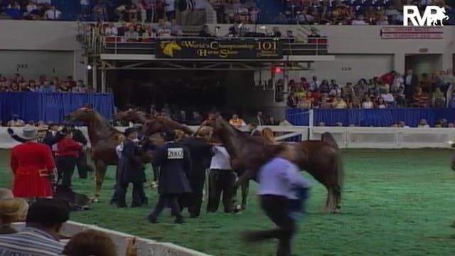 2004 World's Championship Horse Show ...