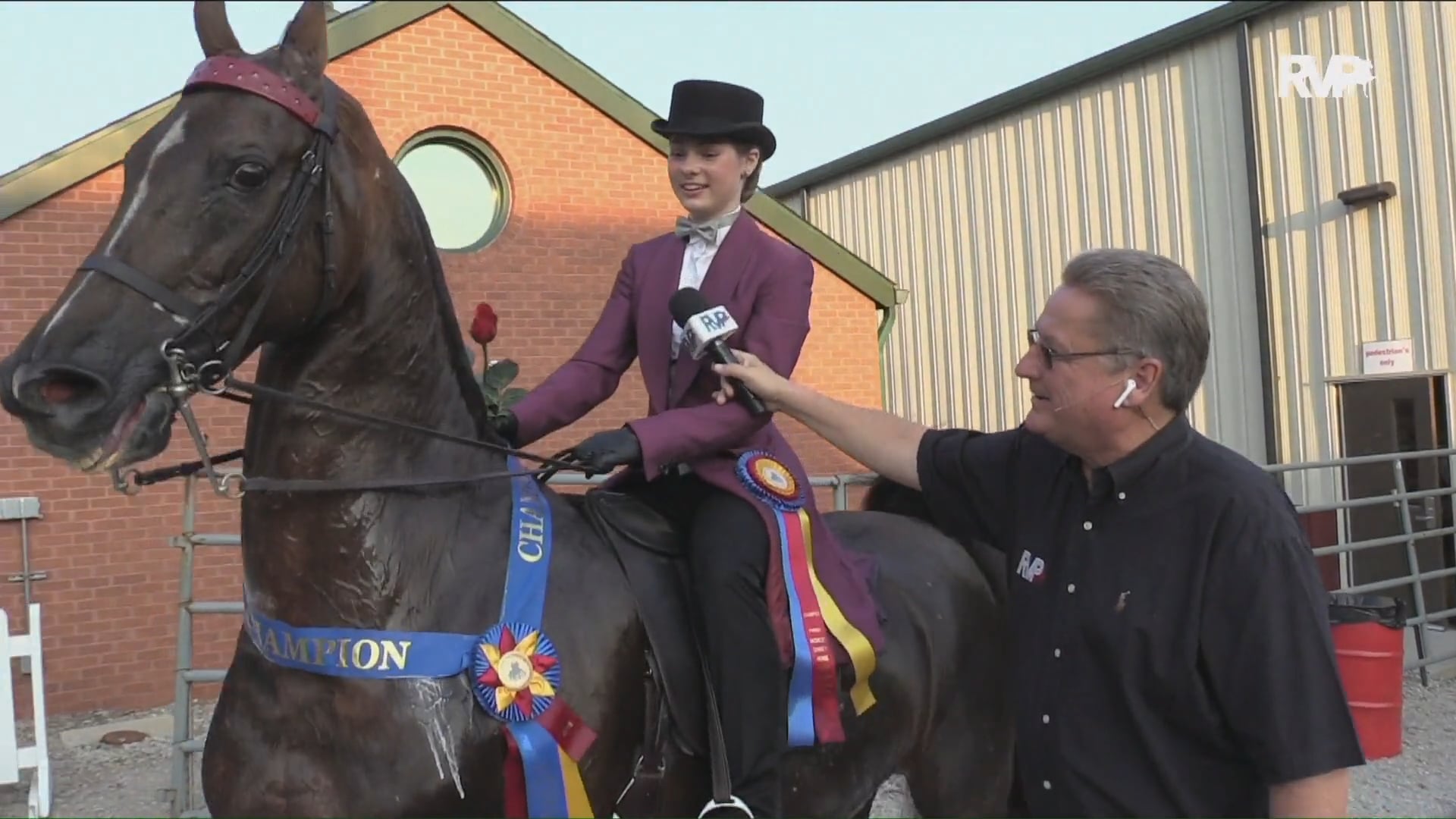 MW18-  Class 191 - CH Shady Creek's Genius Championship