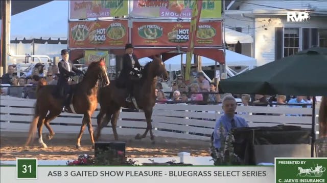 2016 RC - Class 31 ASB Three Gaited S...