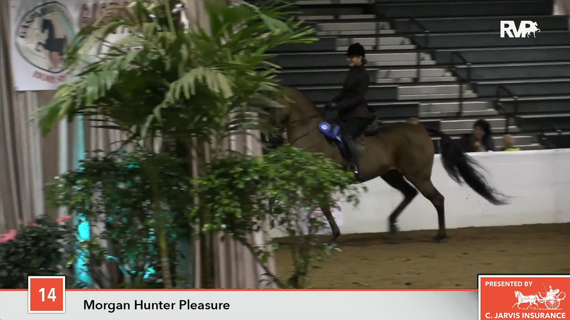 GASP18 - Class 14 - Stone Pine Dana