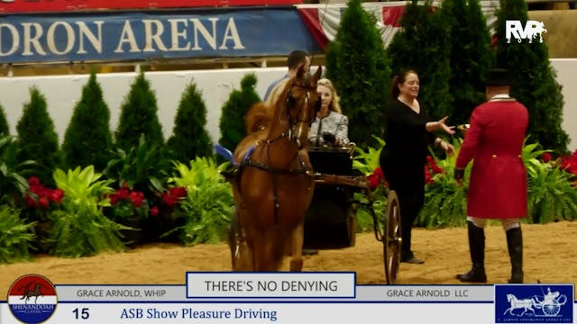 SC25 - Class 15 - ASB Show Pleasure D...