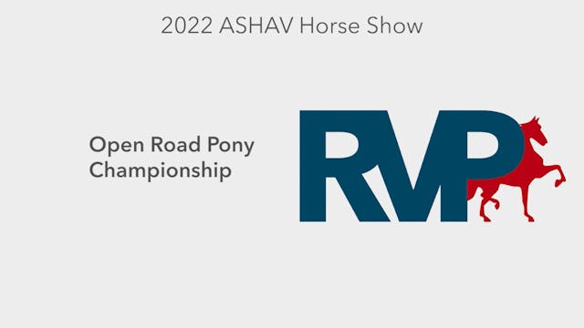 ASHAV22 - Class 116 - Open Road Pony ...
