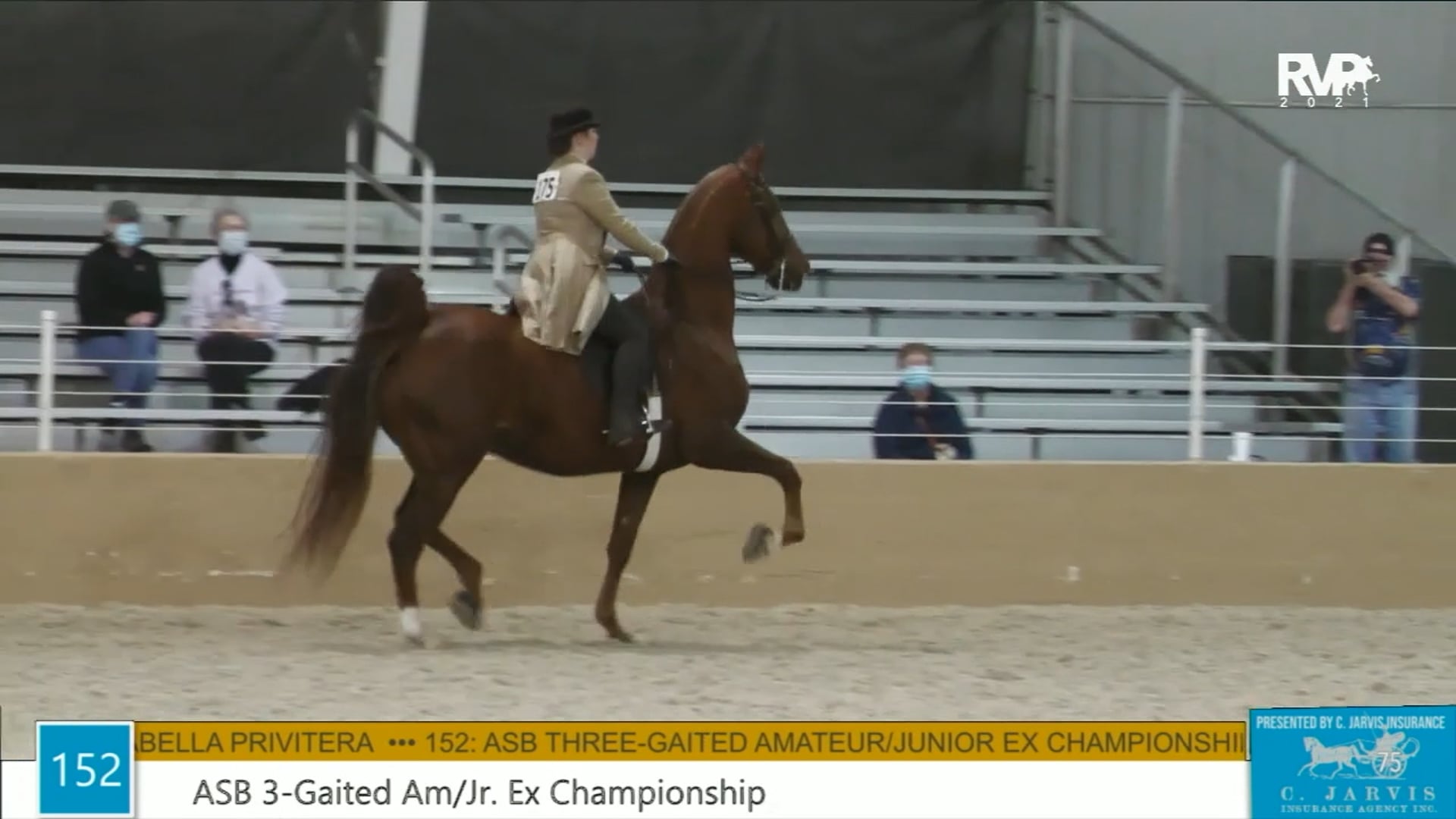 BS21 - Class 152 - ASB Three Gaited Amateur-Junior Exhibitor Championship