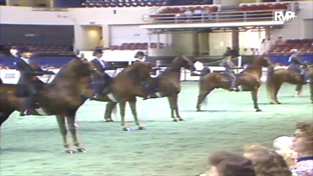 1991 WCHS Class 43 Equitation Open Ri...