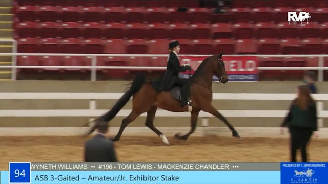 ASW21 - Class 94 - ASB Three Gaited A...