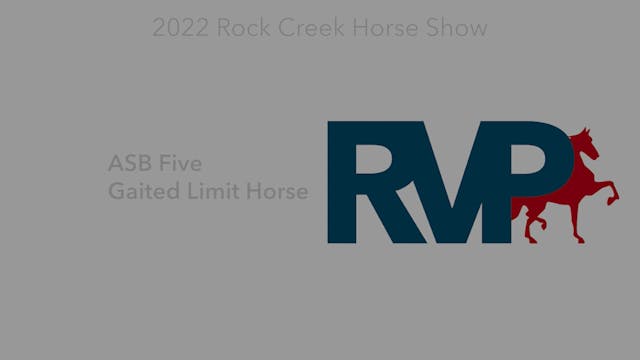 RC22 - Class 21 - ASB Five Gaited Lim...