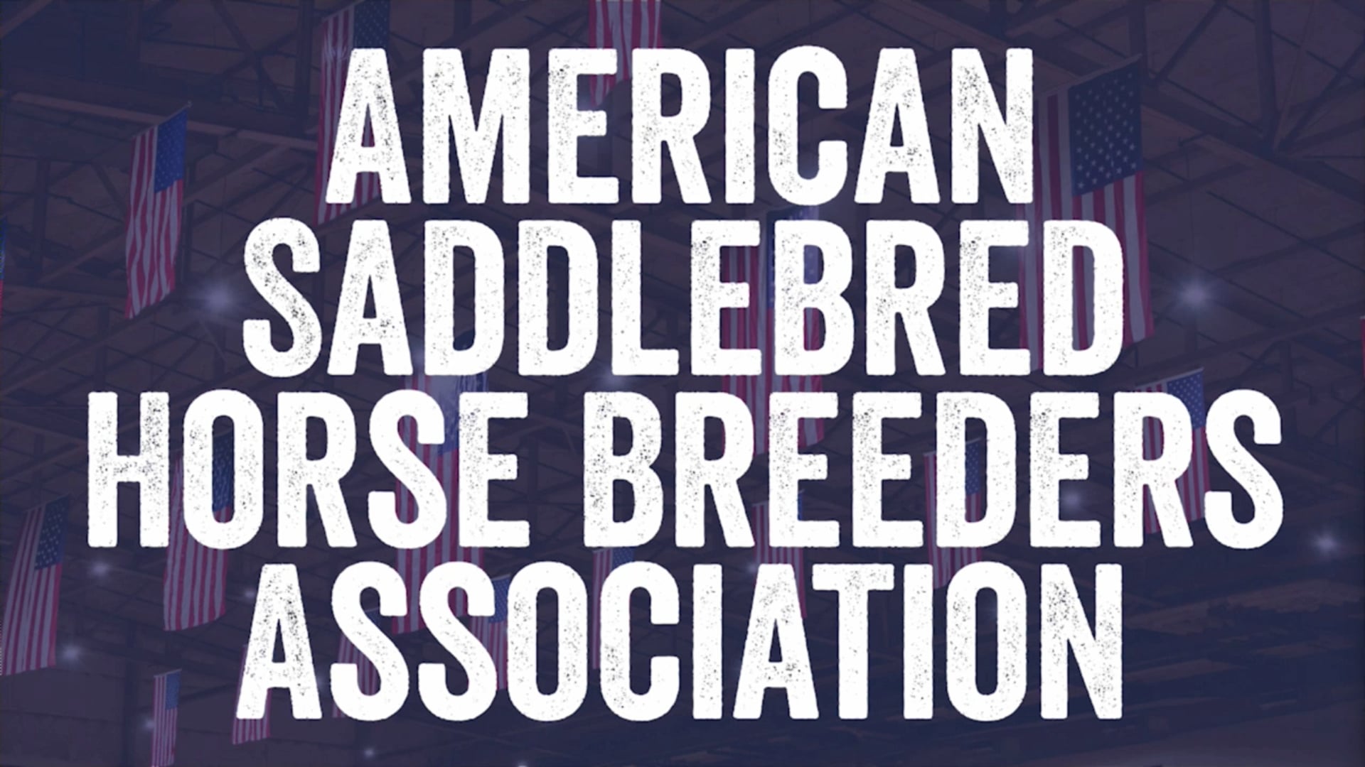 2024 American Royal National Championship - Wednesday Morning