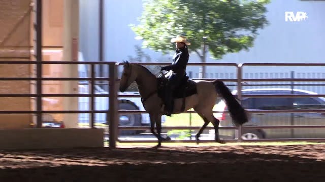 MGN19 - Class 648 - Ranch Riding Patt...