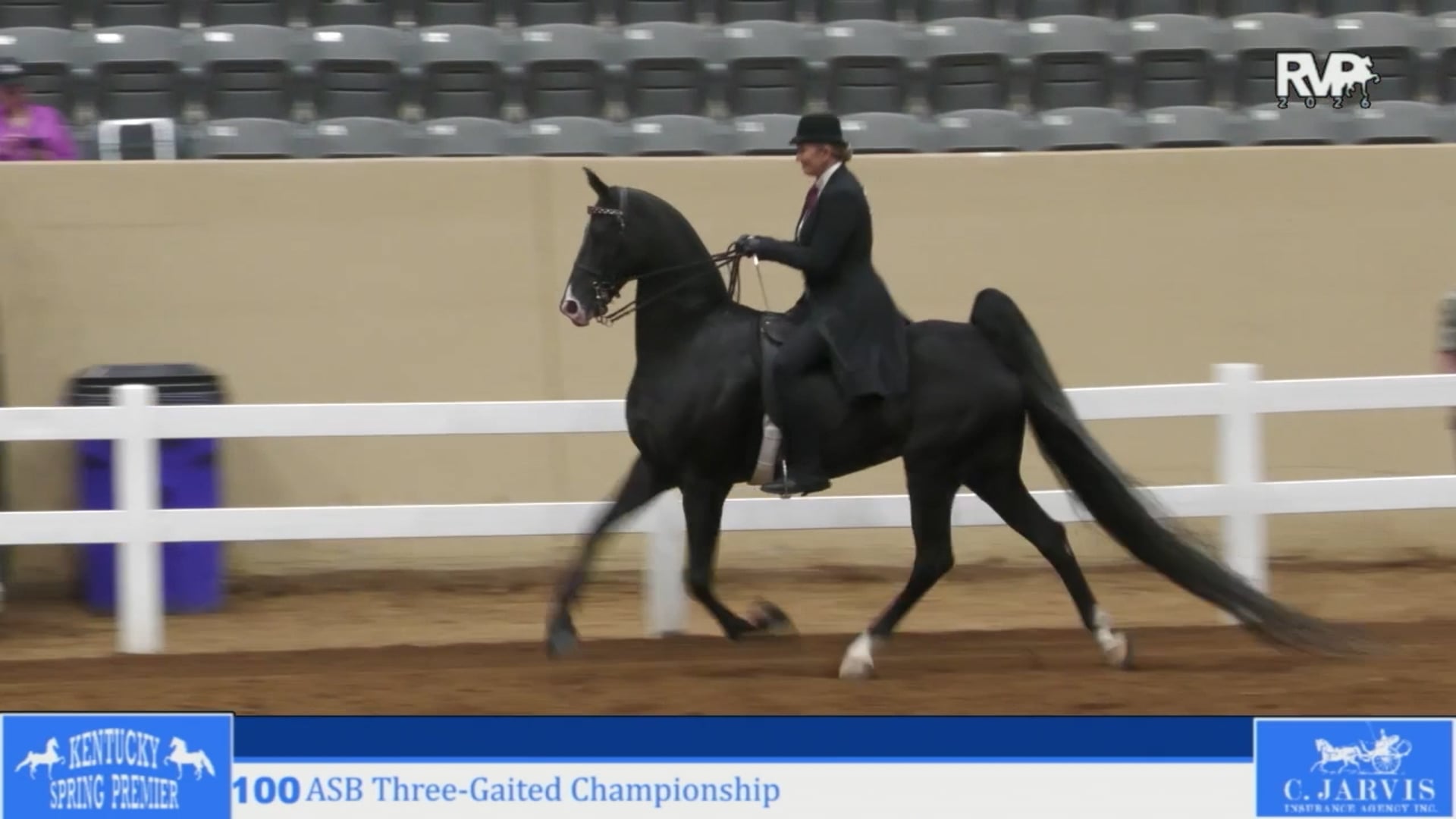 KYSP26 - Class 100 - ASB Three Gaited Championship