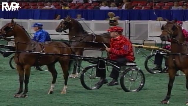 2004 World's Championship Horse Show ...