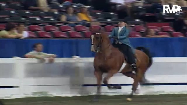 2003 WCHS Class 74 ASB Three Gaited S...
