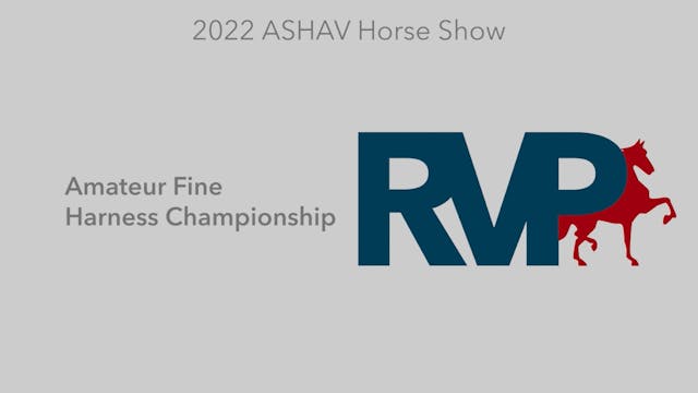 ASHAV22 - Class 67 - Amateur Fine Har...