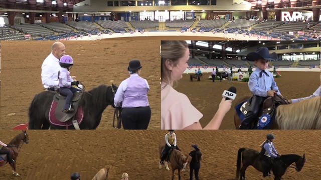 2019 American Saddlebred Horse Associ...