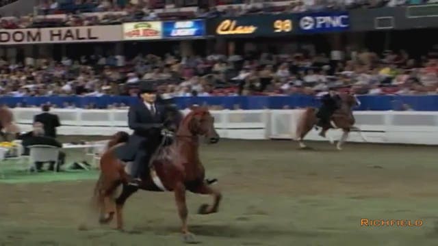 2002 WCHS Class 98 Three Gaited Under...