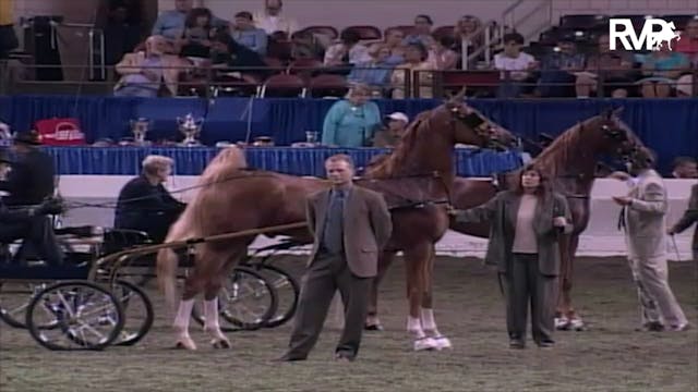 2003 WCHS Class 166 Junior Fine Harne...