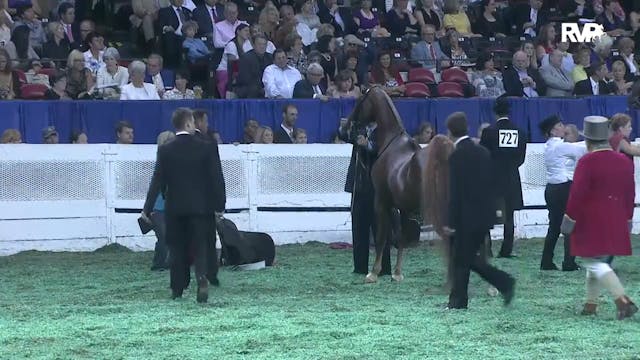 2011 WCHS Class 233 Amateur Three Gai...