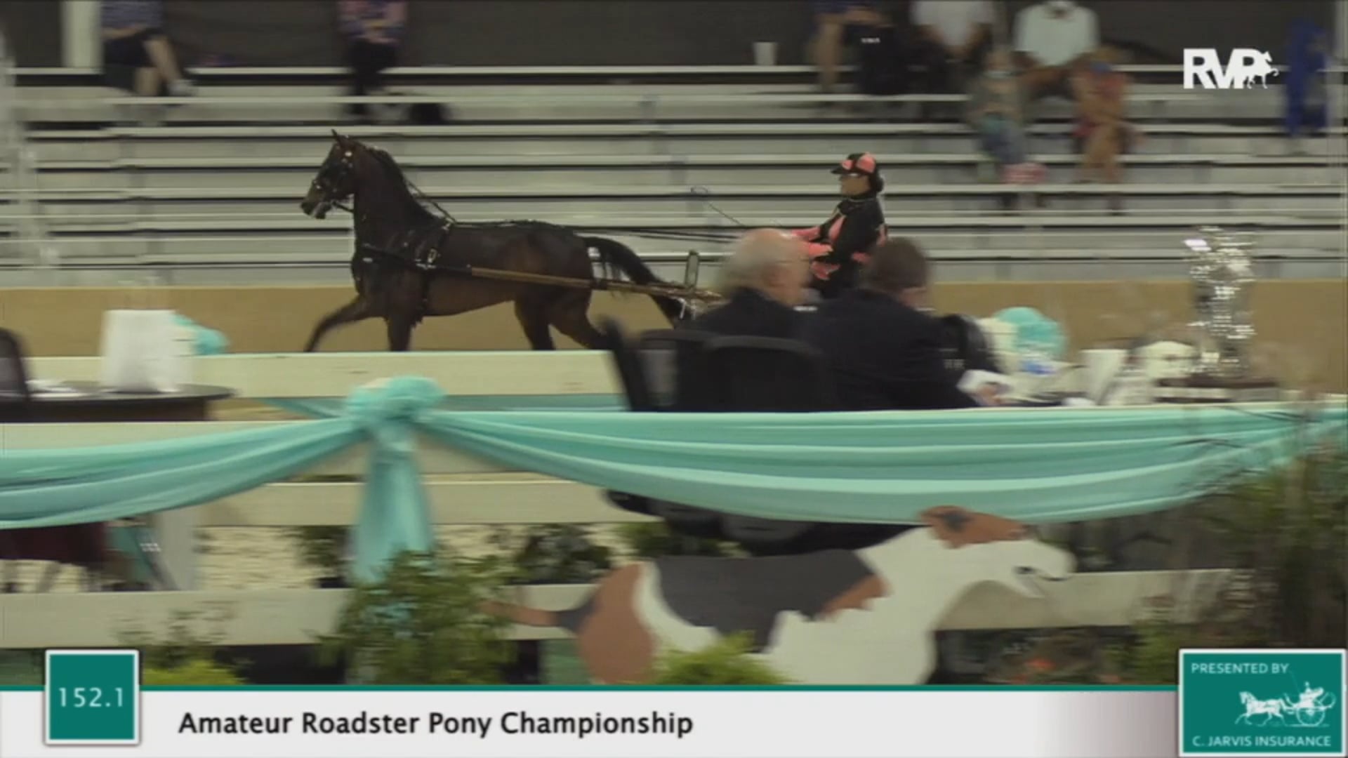 2020 BS - Class 152.1 Amateur Roadster Pony
Championship