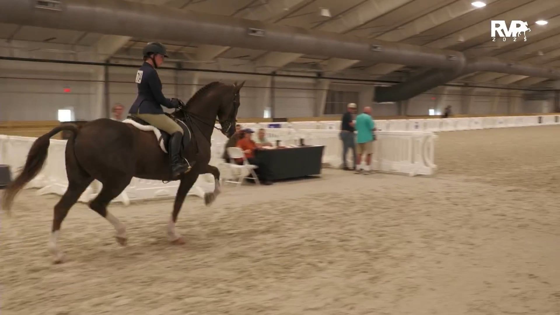 CC25 - Class 74 - Morgan Western Pleasure Limit Horse