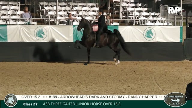 LJL22 - Class 27 ASB Three Gaited Jun...