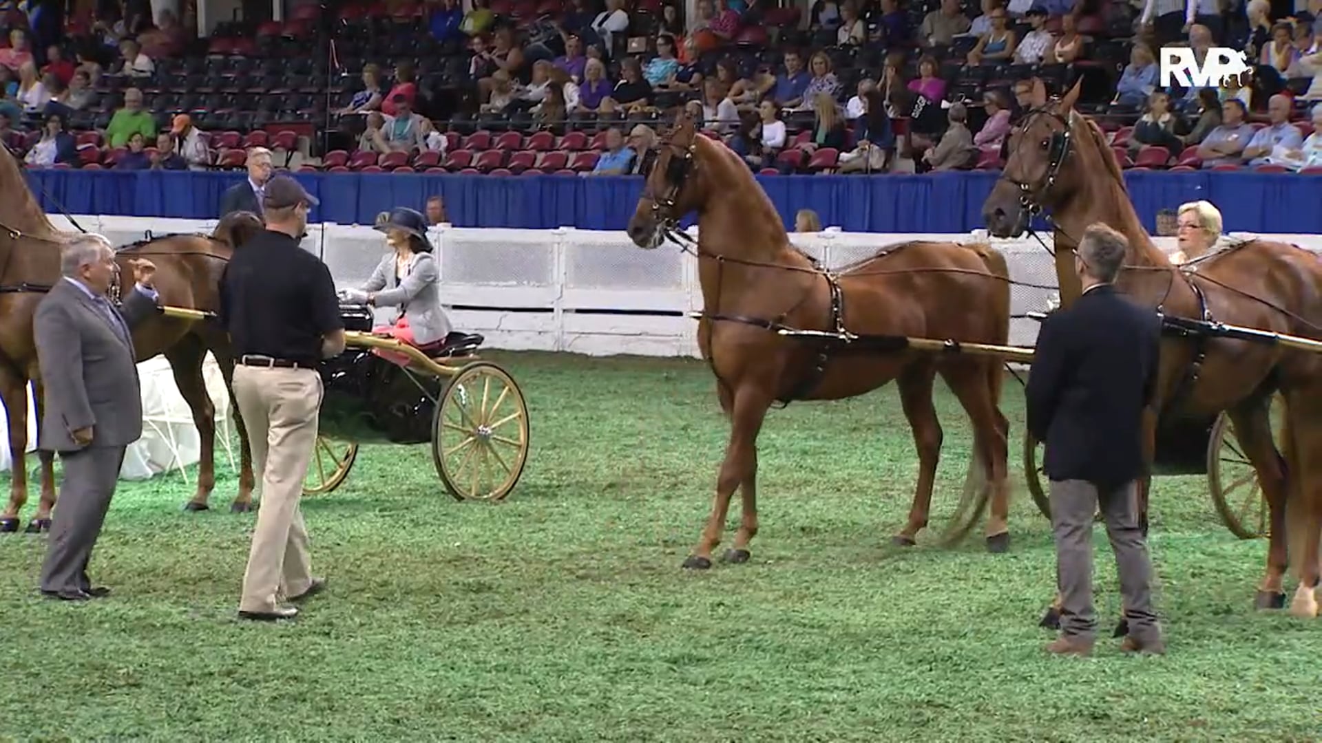 WCHS15 - Class 56 - ASB Country Pleasure Driving - Division II