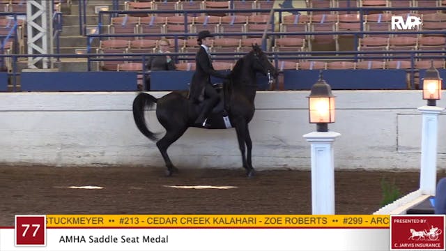 2020 JMHS - Class 77 AMHA Saddle Seat...