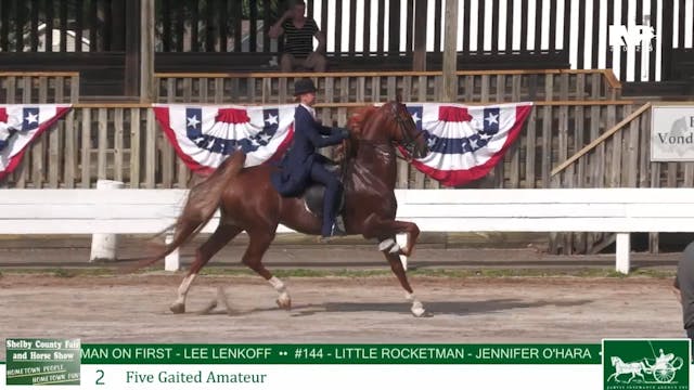 SCF25 - Class 2 - Five Gaited Amateur