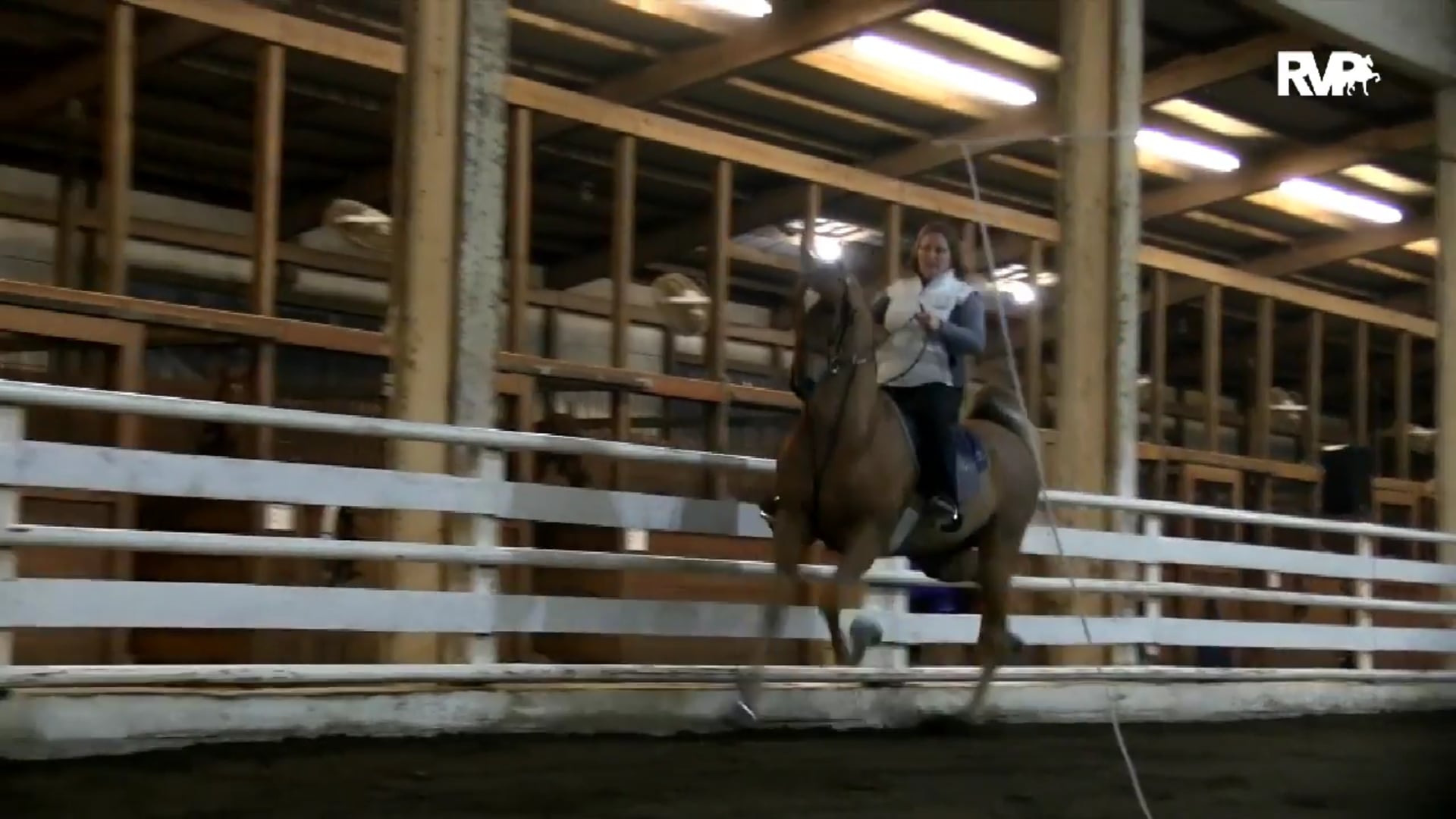 2019 UPHA Chapter 16 Spring Horse Show - Saturday Morning