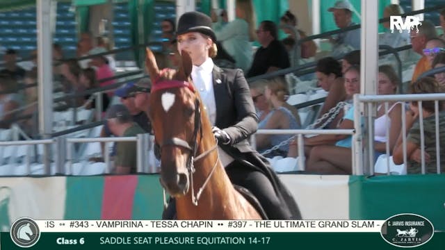LJL22 - Class 6 - Saddle Seat Pleasur...