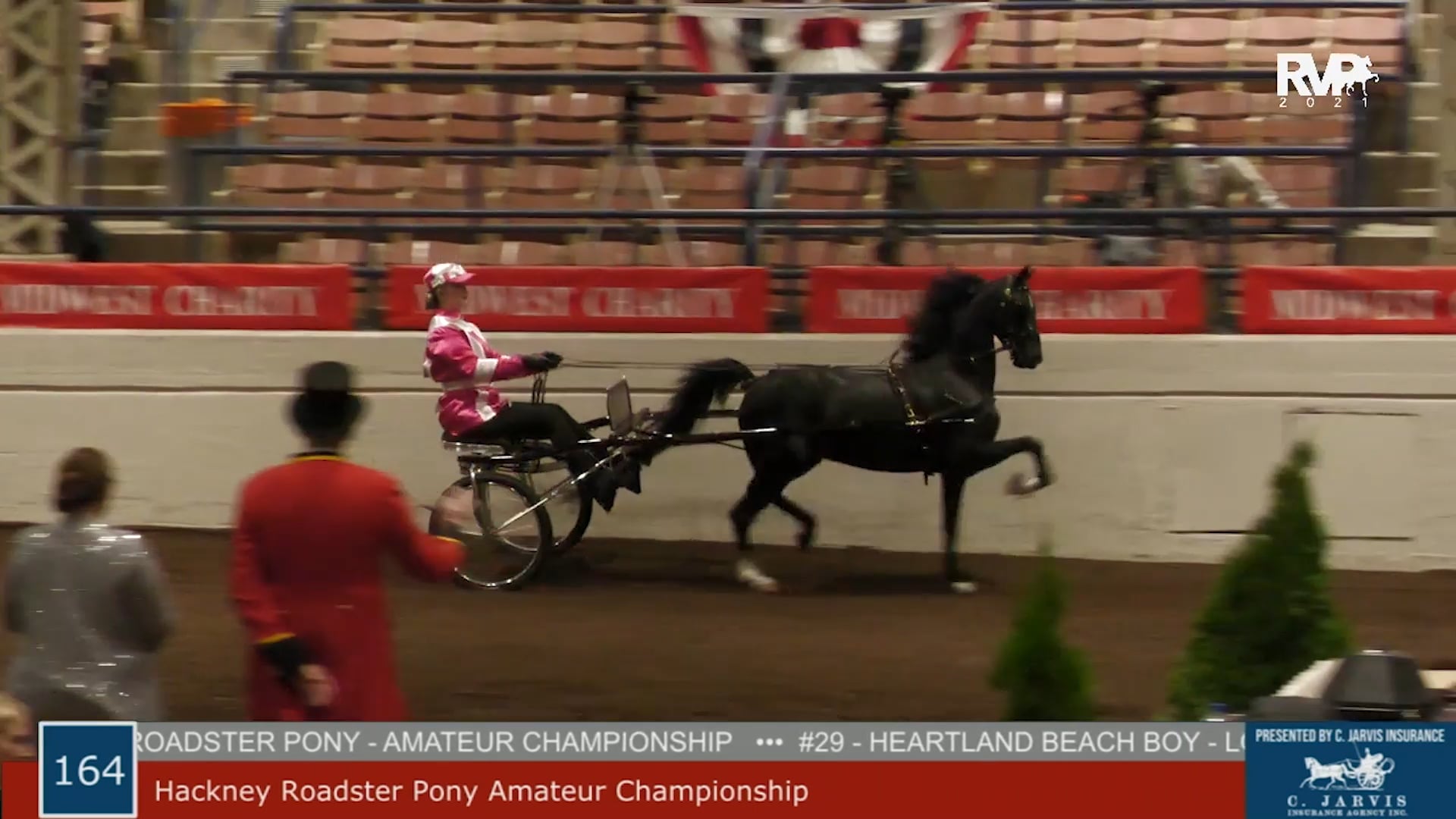 MW21 - Class 164 - Hackney Roadster Pony Amateur Championship