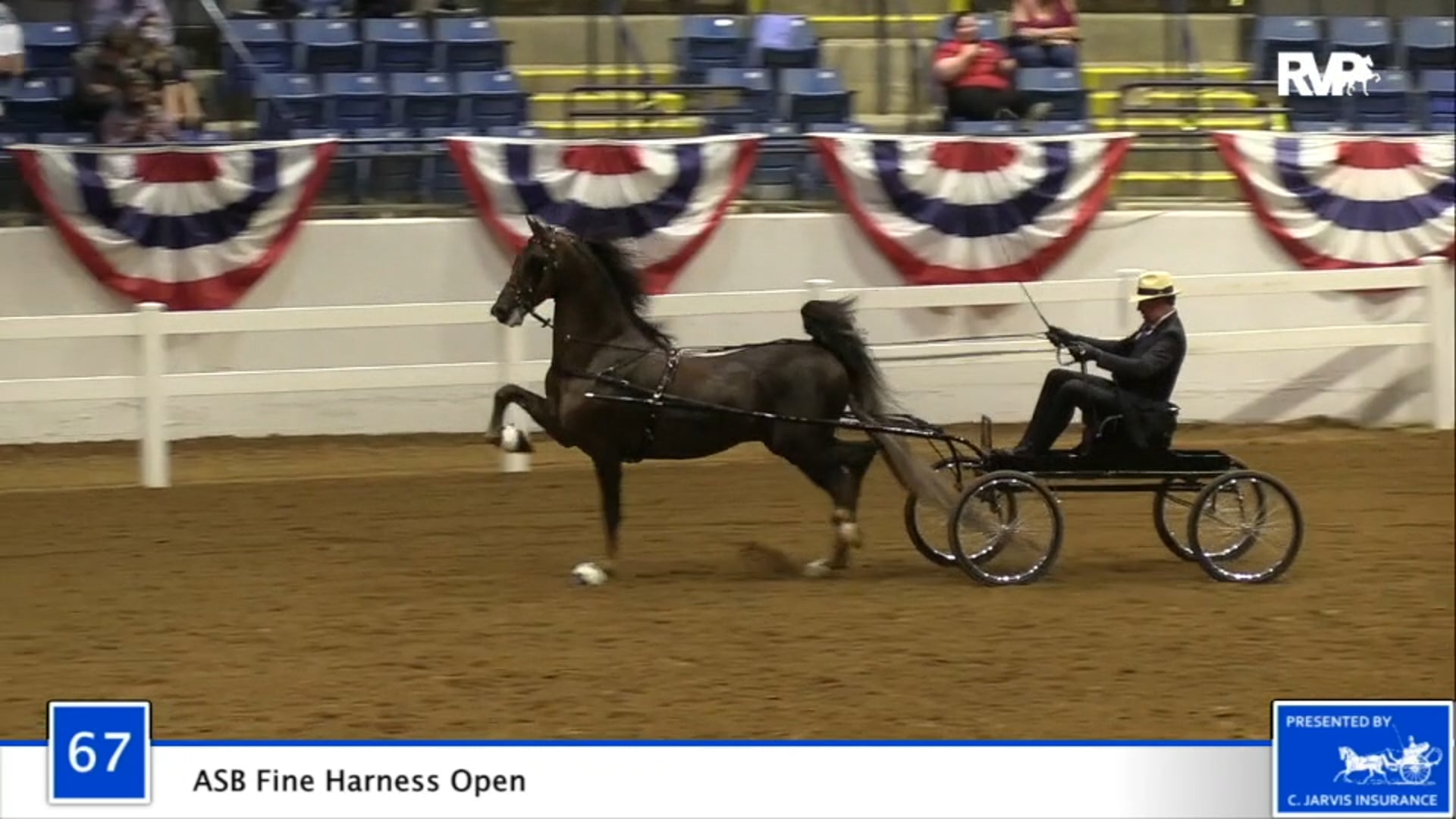 2020 BB - Class 67 ASB Fine Harness Open