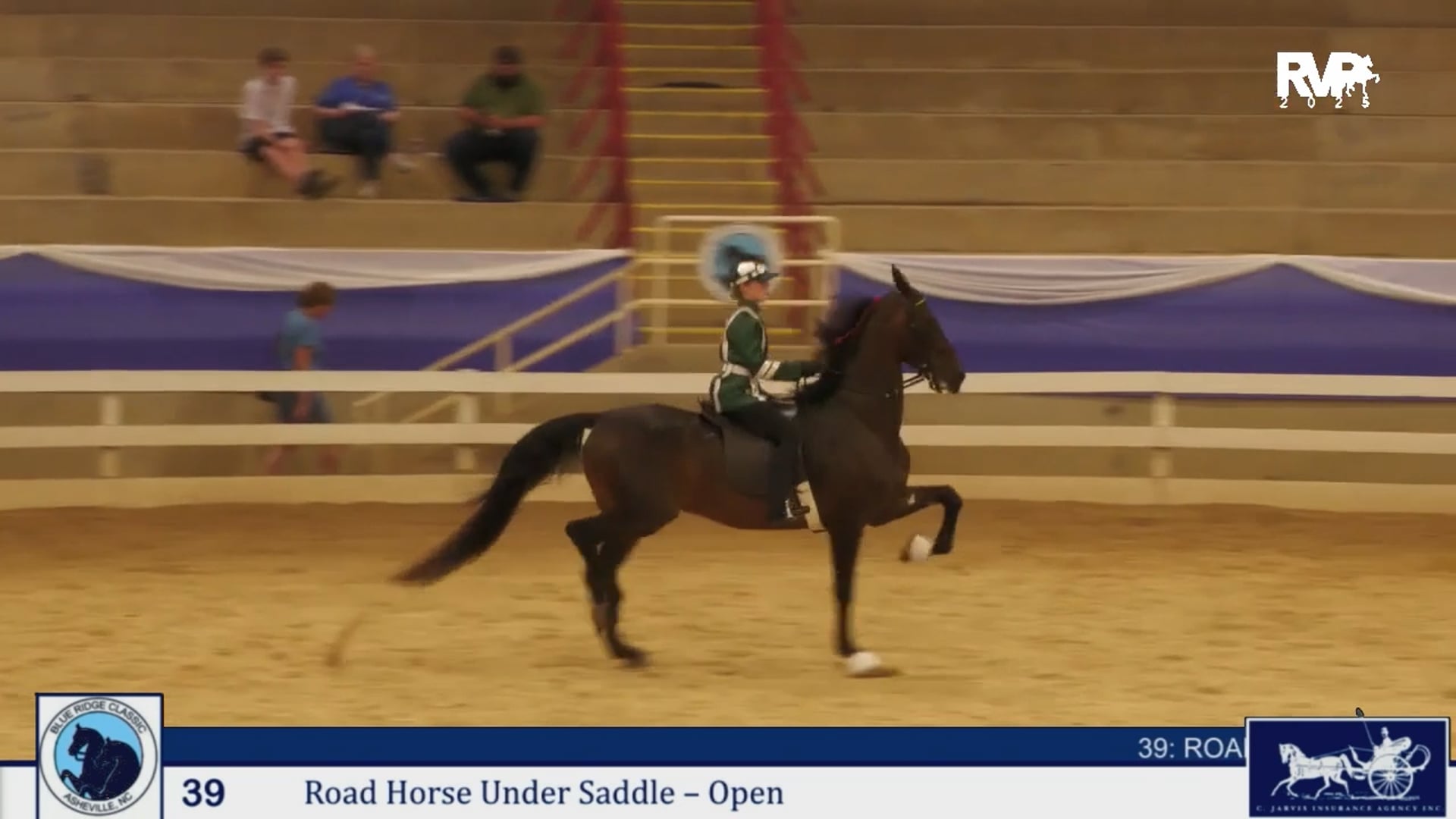BRC25 - Class 39 - Road Horse Under Saddle - Open