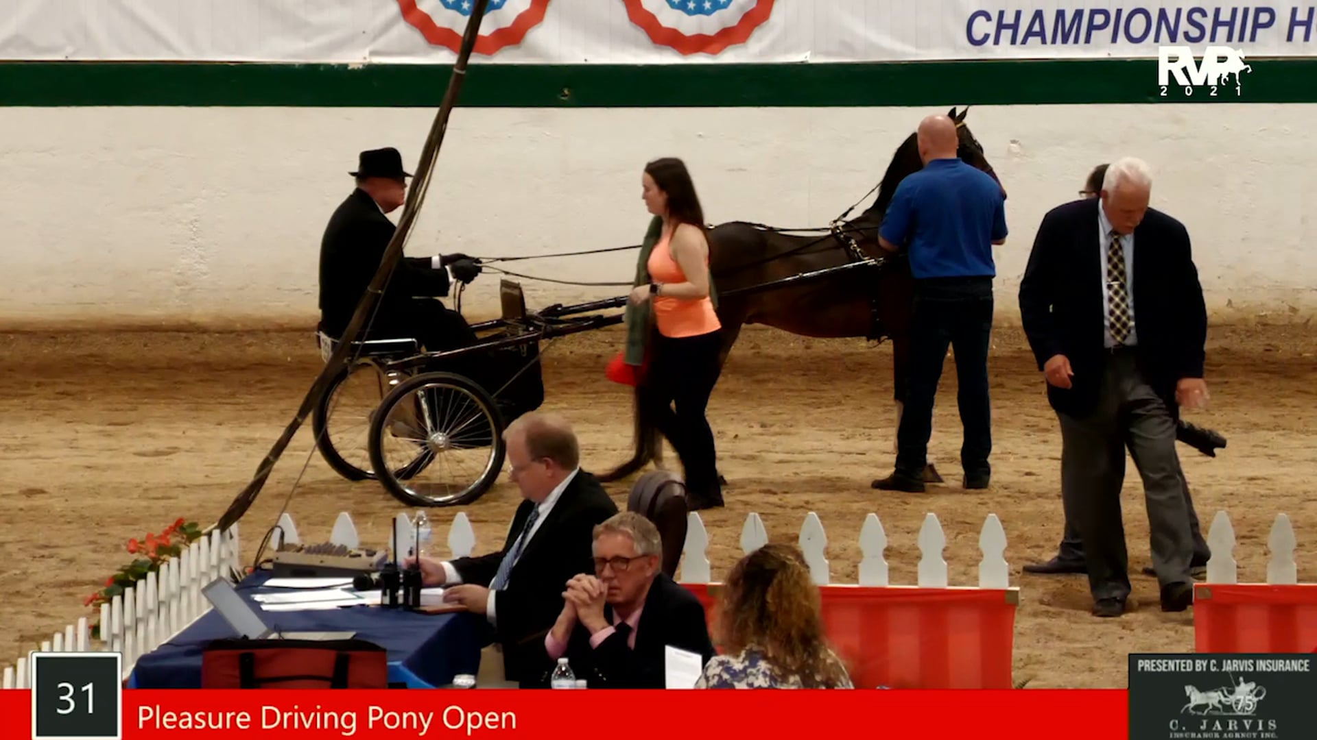 SS21 - Class 31 - Pleasure Driving Pony Open