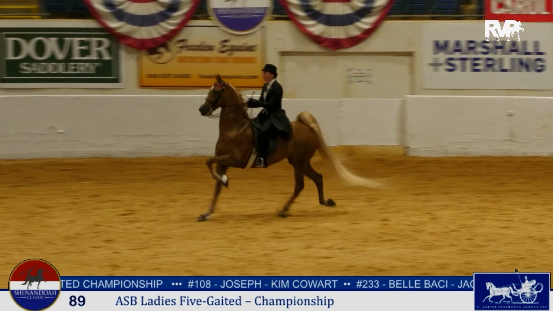 SC25 - Class 89 - ASB Ladies Five Gaited Championship