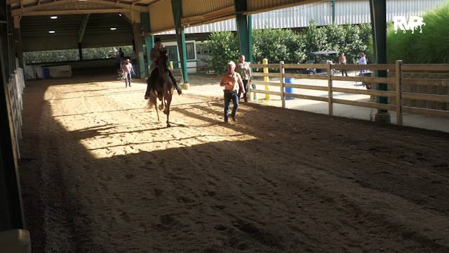 SS24 - Class 34 - ASB Five Gaited Ladies