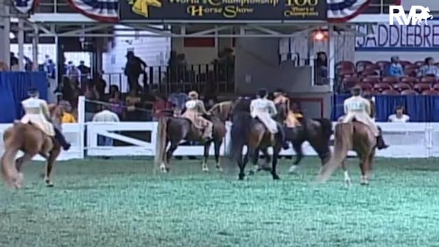 2009 World's Championship Horse Show ...