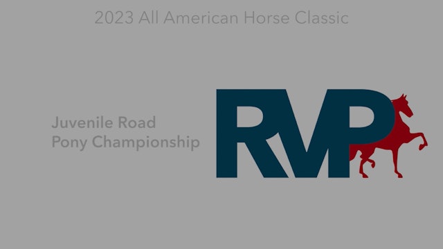 ASHAV23 - Class 97 - Juvenile Road Pony Championship