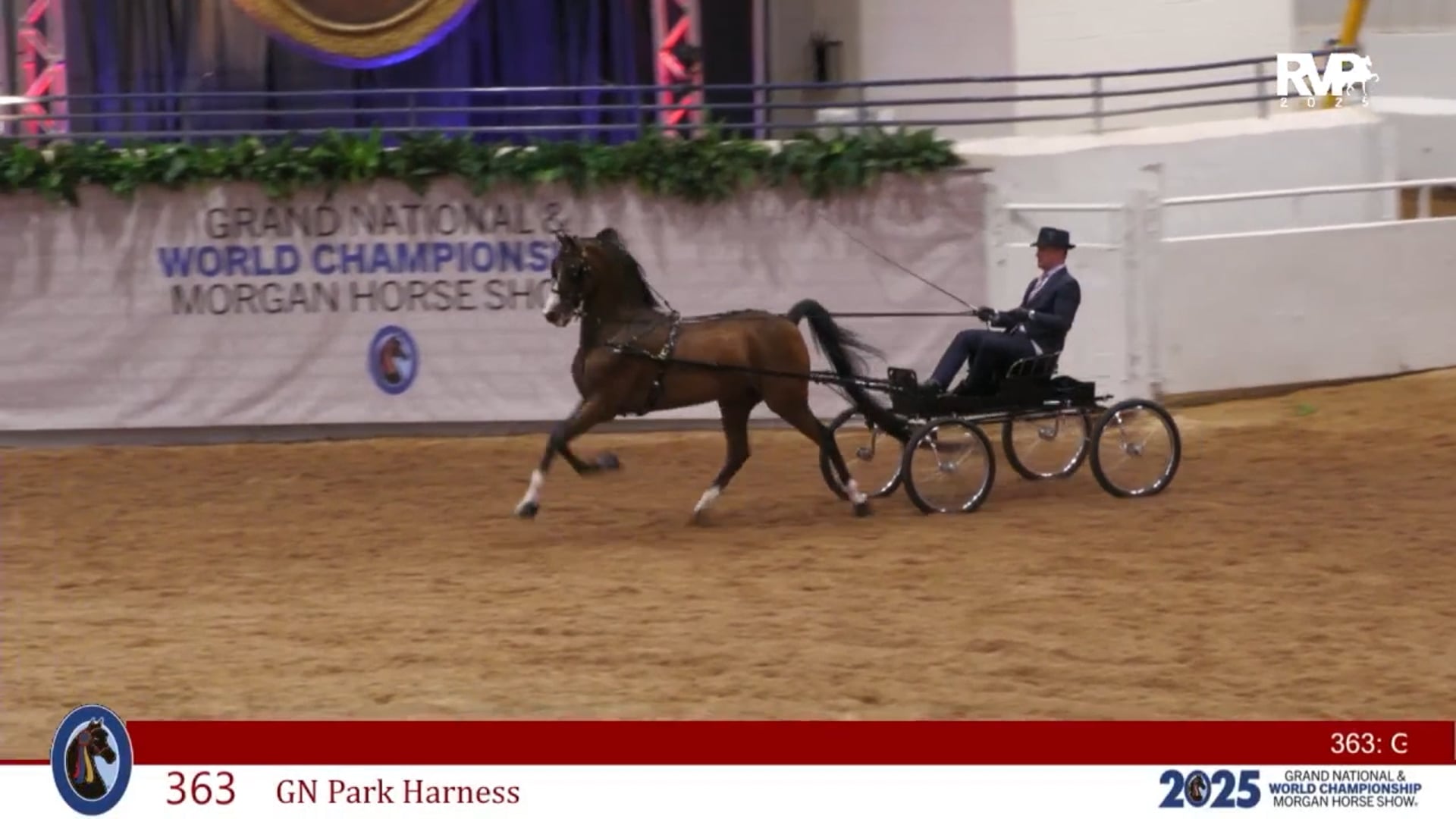 MGN25 - Class 363 - GN Park Harness