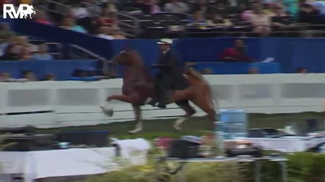 2004 World's Championship Horse Show ...