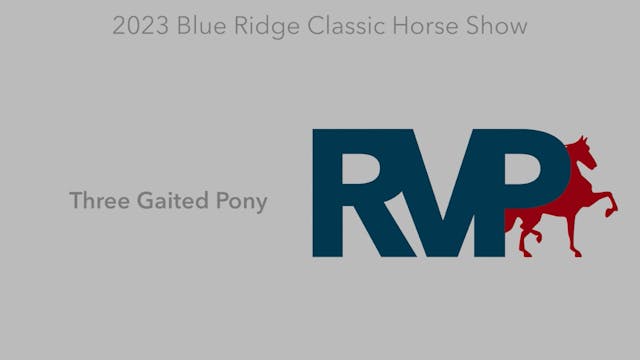 BR23 - Class 116 - Three Gaited Pony