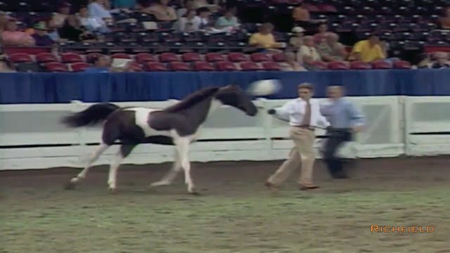 2002 WCHS Class 75 ASHA Amateur Futur...