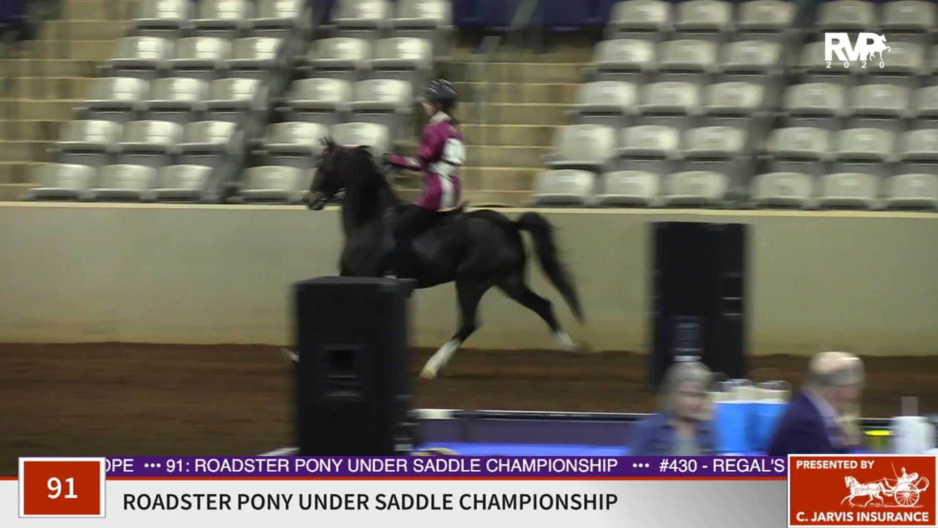 2020 SSFF - Class 91 Roadster Pony Under Saddle
Championship