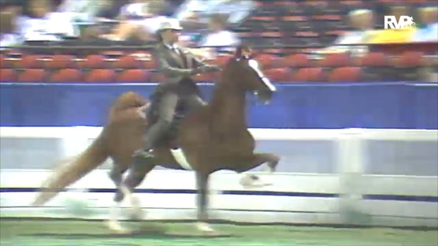 1992 WCHS Class 155A ASHA Equitation ...
