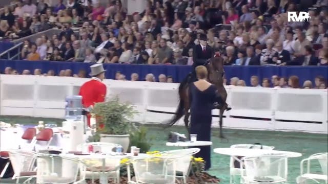 2012 WCHS - Class 241 Three Gaited Wo...