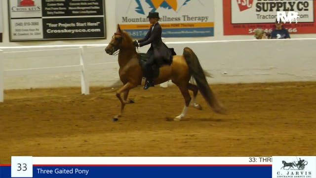 SC22 - Class 33 - Three Gaited Pony